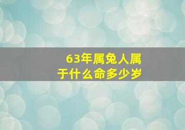 63年属兔人属于什么命多少岁