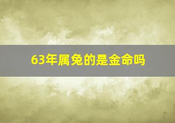 63年属兔的是金命吗