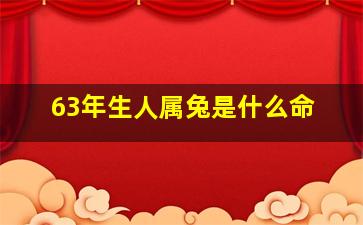 63年生人属兔是什么命