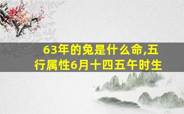 63年的兔是什么命,五行属性6月十四五午时生