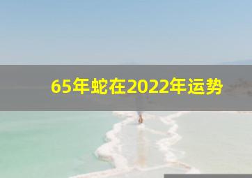 65年蛇在2022年运势