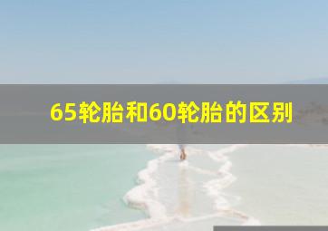 65轮胎和60轮胎的区别