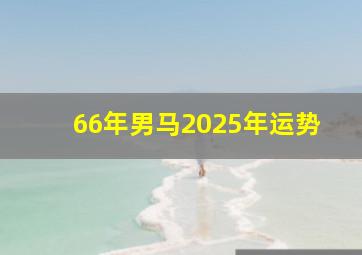 66年男马2025年运势