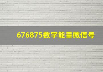 676875数字能量微信号