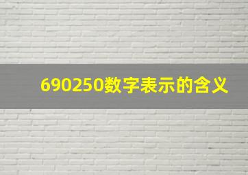 690250数字表示的含义