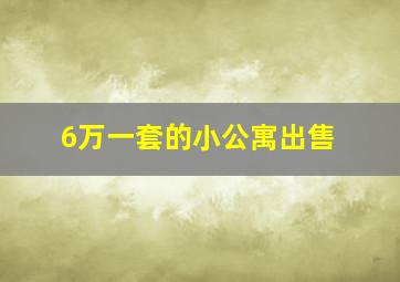 6万一套的小公寓出售