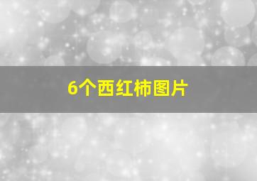 6个西红柿图片