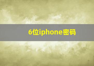 6位iphone密码