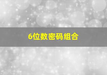 6位数密码组合