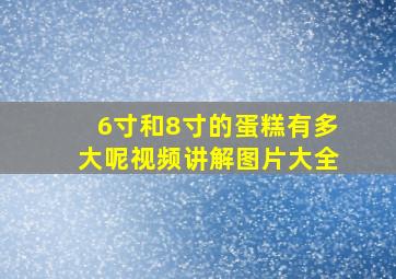 6寸和8寸的蛋糕有多大呢视频讲解图片大全