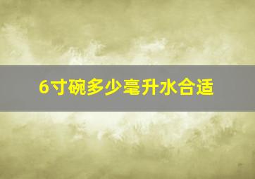 6寸碗多少毫升水合适