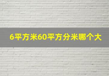 6平方米60平方分米哪个大