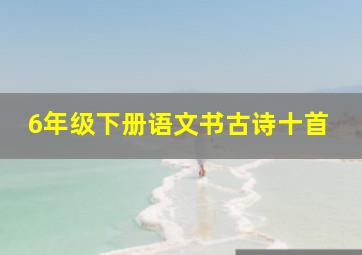 6年级下册语文书古诗十首