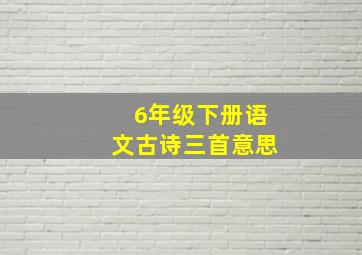 6年级下册语文古诗三首意思