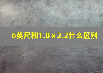 6英尺和1.8ⅹ2.2什么区别