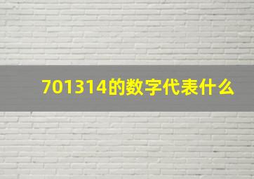 701314的数字代表什么