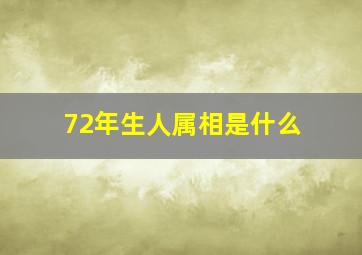 72年生人属相是什么