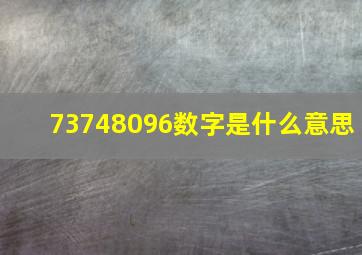 73748096数字是什么意思