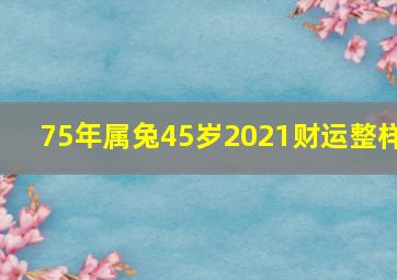 75年属兔45岁2021财运整样