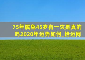 75年属兔45岁有一灾是真的吗2020年运势如何_拾运网