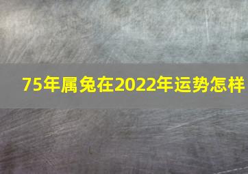 75年属兔在2022年运势怎样