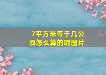 7平方米等于几公顷怎么算的呢图片