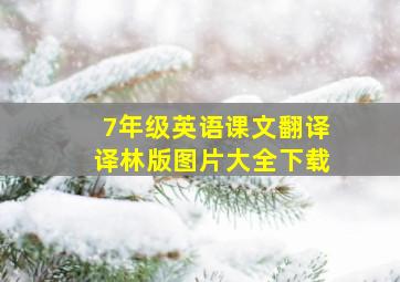 7年级英语课文翻译译林版图片大全下载