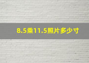 8.5乘11.5照片多少寸