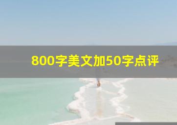 800字美文加50字点评