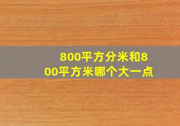 800平方分米和800平方米哪个大一点