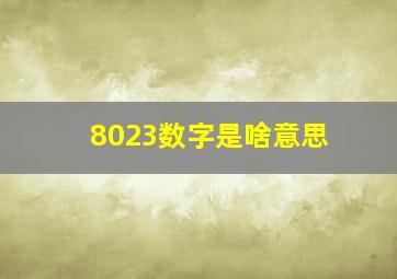 8023数字是啥意思