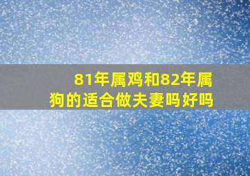 81年属鸡和82年属狗的适合做夫妻吗好吗