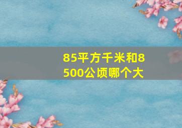 85平方千米和8500公顷哪个大