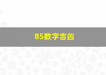 85数字吉凶