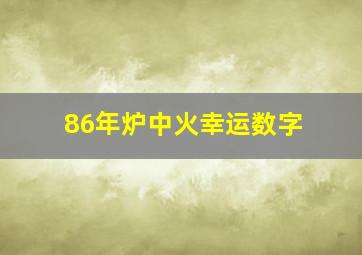 86年炉中火幸运数字