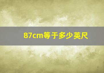 87cm等于多少英尺