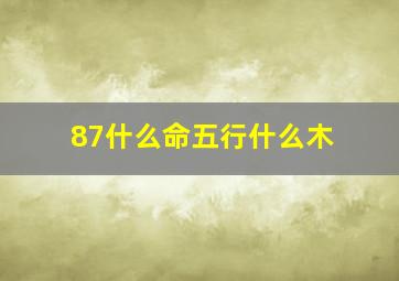 87什么命五行什么木