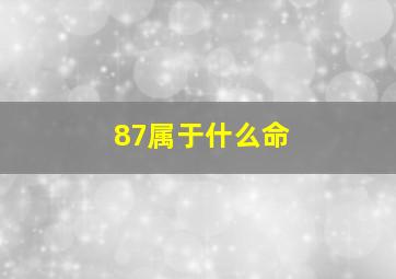 87属于什么命