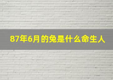 87年6月的兔是什么命生人