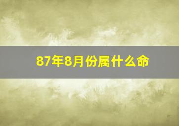 87年8月份属什么命