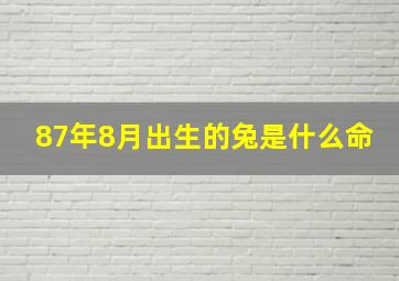 87年8月出生的兔是什么命