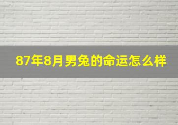 87年8月男兔的命运怎么样