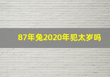 87年兔2020年犯太岁吗