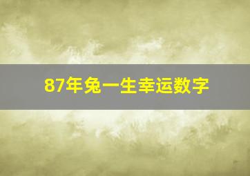 87年兔一生幸运数字