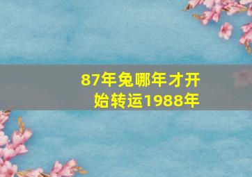 87年兔哪年才开始转运1988年