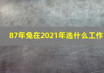 87年兔在2021年选什么工作