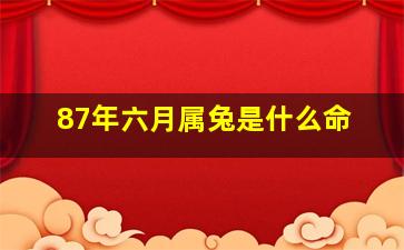 87年六月属兔是什么命