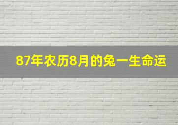 87年农历8月的兔一生命运