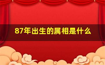 87年出生的属相是什么