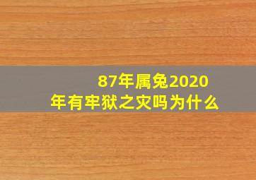 87年属兔2020年有牢狱之灾吗为什么